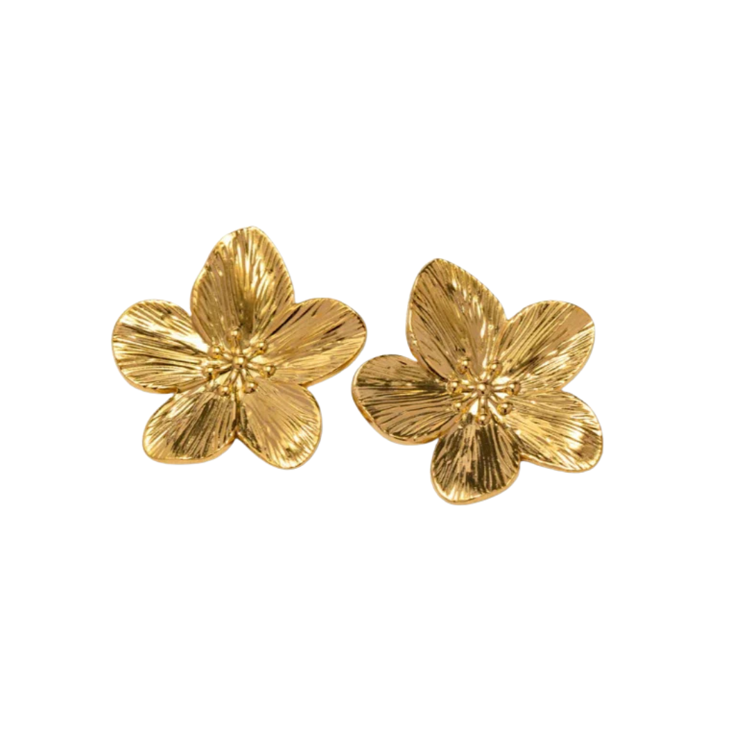 Pendientes Cima