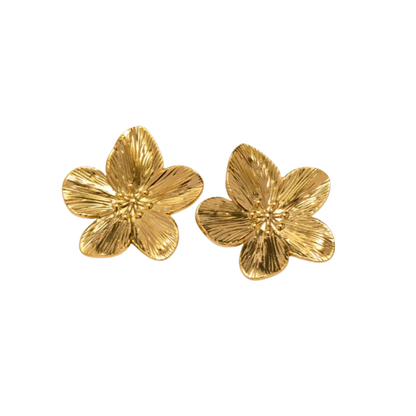 Pendientes Cima