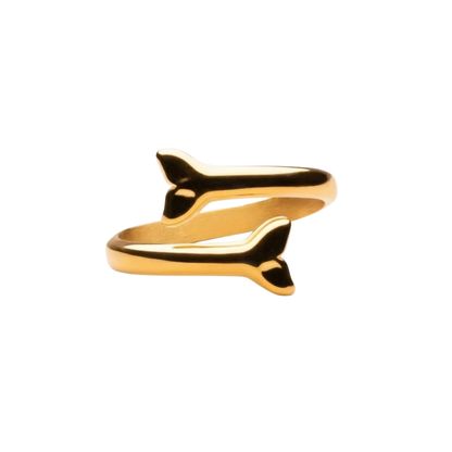 Anillo Duna