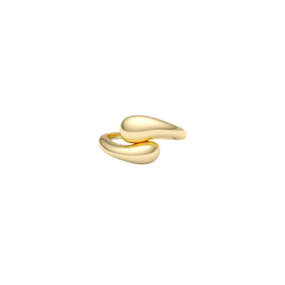 Anillo Vela