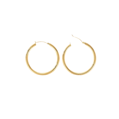 Pendientes Selva