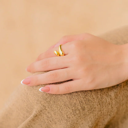 Anillo Vela